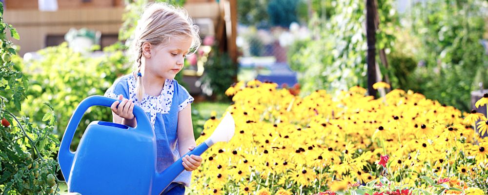 3 Low-Maintenance Perennial Flowers for Your Salt Lake, UT Home