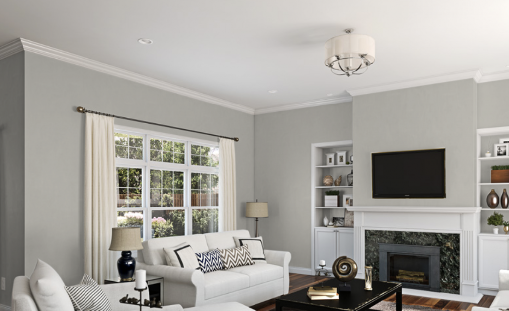 Sherwin-Williams Repose Gray living room