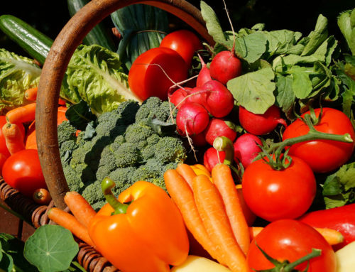 Tips and Tricks for Creating a Vegetable Garden